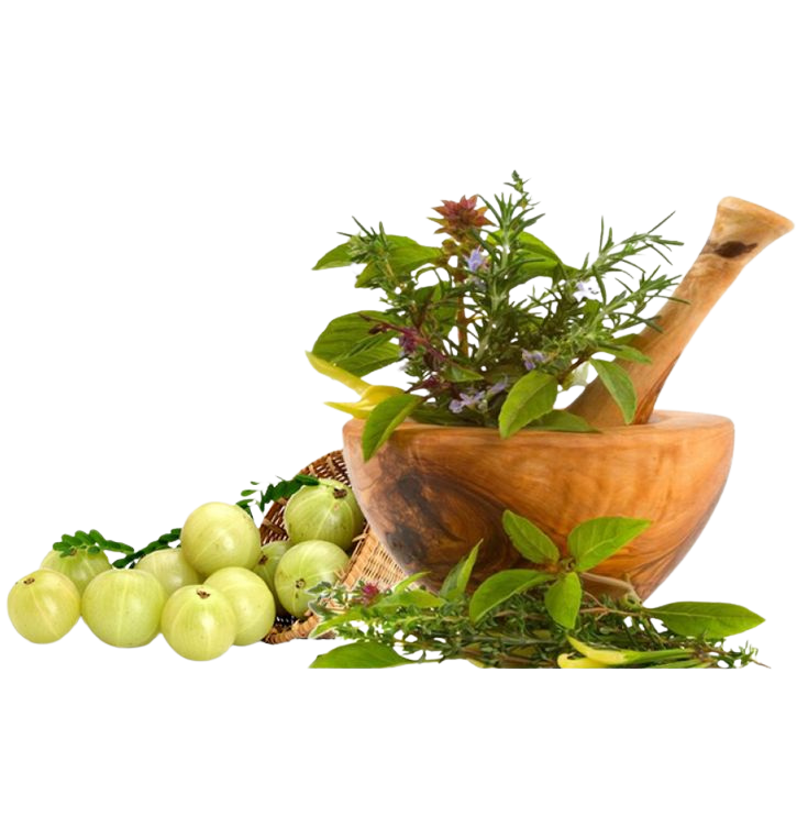 Ayurvedic herbs