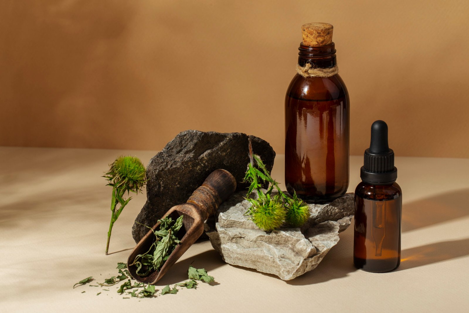 phytotherapy-items-still-life-high-angle