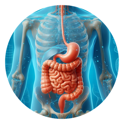 Digestive Care