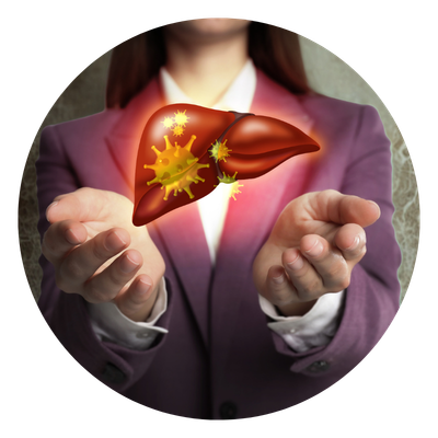 liver Health