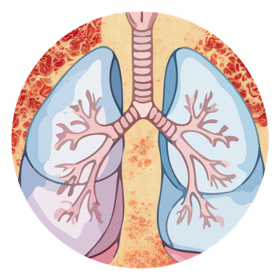 Immunity & respiratory