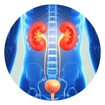 Urinary Problems